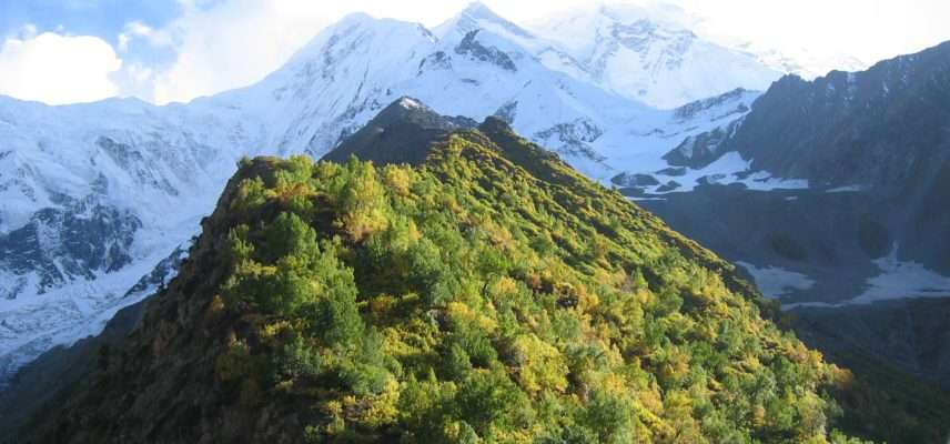 Rakaposhi