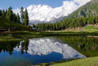 fairy meadows