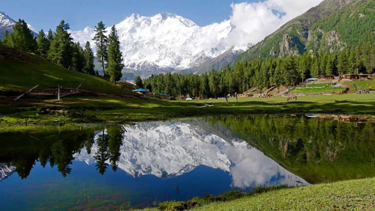 fairy meadows