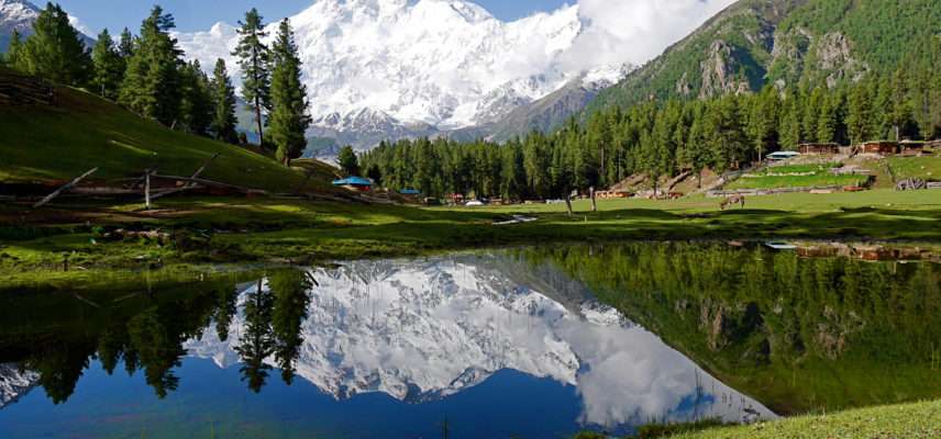 fairy meadows