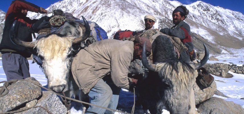 SHIMSHAL-PASS.